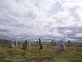 thn_Calanais - Standing stones2.jpg